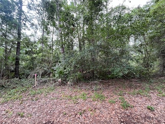223 Ward Ave, Crescent City, FL 32112