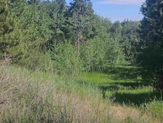 14242 W Orchard Heights Rd, Cheney, WA 99004