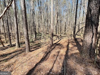 0 Joe Cook Rd Unit 2 10550481, Franklin, GA 30217