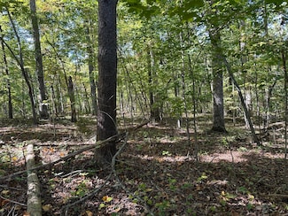 Lot351-354 Diana Dr, Spring City, TN 37381