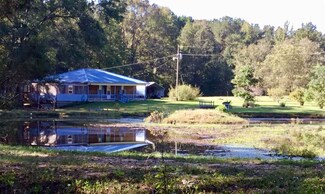 132 Swanne Swanner Dr Swanner Dr, Lena, MS 39094