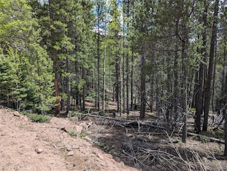 3159 Purnell Ln, Fort Garland, CO 81133