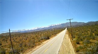 106 Street E, Pearblossom, CA 93543