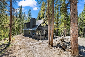 46 Silver Creek Rd, Idaho Springs, CO 80452