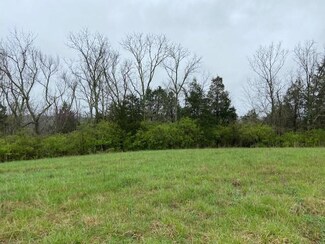 1030 Mann Ln, Mount Olivet, KY 41064