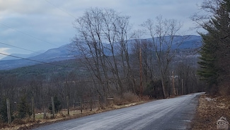 0 Route 20 & Prink Hill, Durham, NY 12423