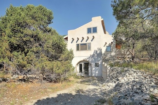 16715 Shadow Ln, Nathrop, CO 81236