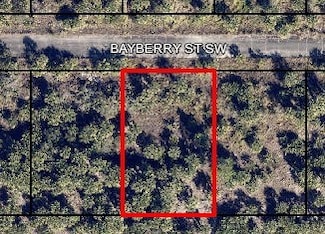 1058 Bayberry St SW, Palm Bay, FL 32908