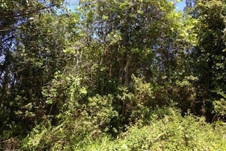 0 Road 10 Unit 249663, Volcano, HI 96785