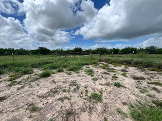 20 ACRES Mangana-Hein Rd, Laredo, TX 78046