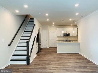 22486 Radford Point Terrace, Ashburn, VA 20148