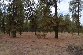 0000 S Duncan Rd, Spangle, WA 99031