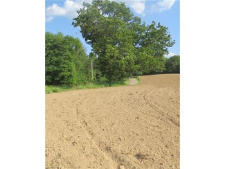 0 Clay Rd NW Unit 3909978, Dellroy, OH 44620
