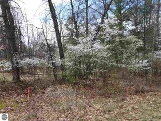 0 Otter Trail Unit 304 1846277, Alger, MI 48610