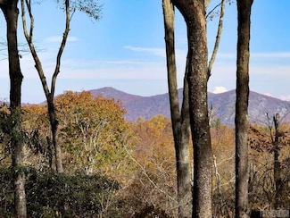 TBD Silly Ridge Rd, Scaly Mountain, NC 28775