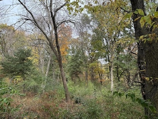 6911 Lakeview Point, Panora, IA 50216