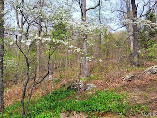 000 Piazza Rd, Saint James, MO 65559