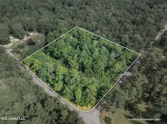 Lot 1 (2 3 Acres) Beverly Hills Dr, Petal, MS 39465