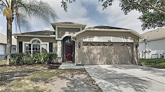 10336 Birdwatch Dr, Tampa, FL 33647