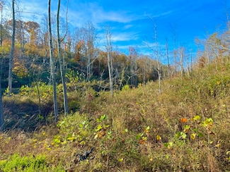 9108 Kentucky 501, Liberty, KY 42539