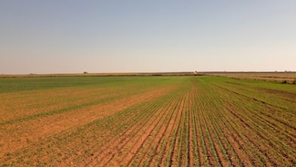 Cotton, Jet, OK 73749