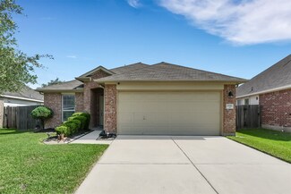 21922 Blossom Grove Ln, Spring, TX 77379