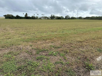 Block 46 Coast Unit Lot 9, Sebastian, TX 78594