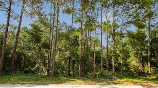 7176 Norway St, Webster, FL 33597