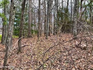 11 Oxford Cir, Crossville, TN 38558