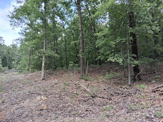 Tbd County Road 350, Dora, MO 65637