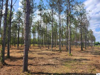000 Kab Ln, Mangham, LA 71259