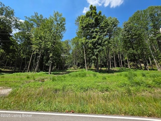 2 Cave Creek Rd, Falls of Rough, KY 40119