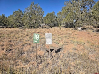 134 Rawhide Rd, Durango, CO 81303