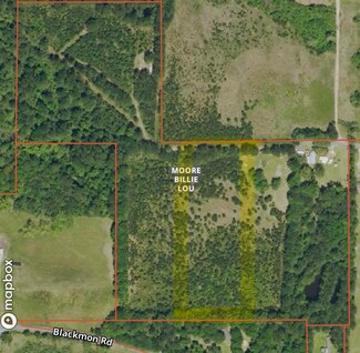 0 Tract 2 Scott Rd, Leesville, LA 71446