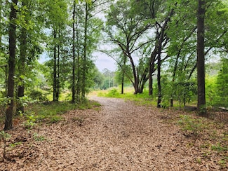 343 W End Dr, Moncks Corner, SC 29461