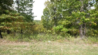 1321 Emory Creek Blvd, Marvel Cave Park, MO 65616