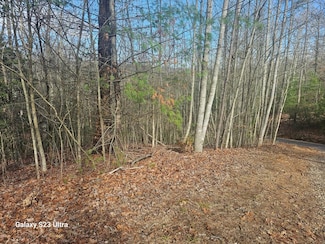 00 Antler Ln, Murphy, NC 28906