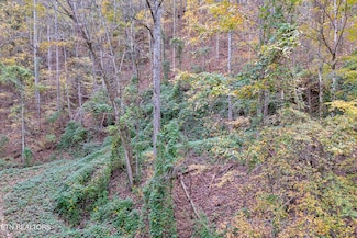 Lots 1 2 3 Timber Grove Rd, Sevierville, TN 37862