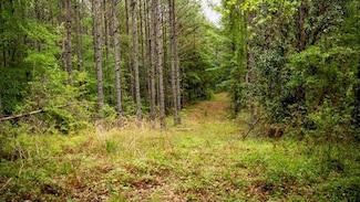 2683 Highway 33, Crosby, MS 39633