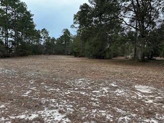 Lot 154 Mulligan Dr NE, Townsend, GA 31331