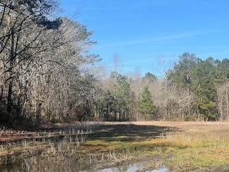0 S Grimesland Bridge Rd Unit LotWP001 22693664, Grimesland, NC 27837