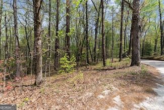 0 Ridge Rd Unit 10504488, Dawsonville, GA 30534