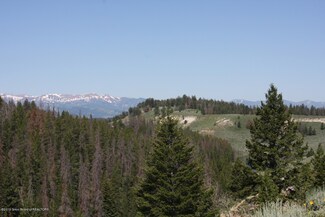 0000 Deer Haven Rd, Bondurant, WY 82922