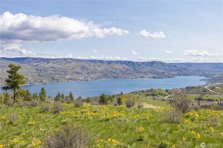 1 Bear Mountain Ranch Rd, Chelan, WA 98816