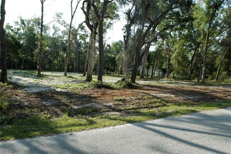 0 Juniper Ave, Webster, FL 33597