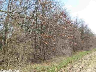 63 ACRES Cr 737, Alicia, AR 72410