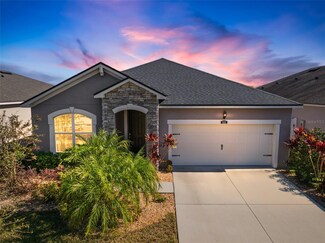 13123 Rain Lily Dr, Riverview, FL 33579