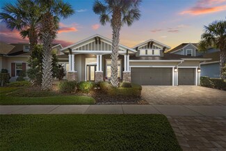 16766 Courtyard Loop, Land O Lakes, FL 34638