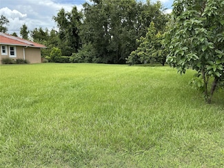 21049 Los Cabos Ct, Land O' Lakes, FL 34637