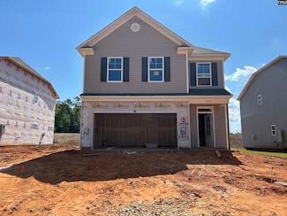 1076 Flat Coat Ln, Chapin, SC 29036